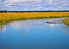 Bring your kayak and enjoy the numerous waterways