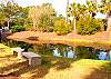 Enjoy lagoon views from your back yard