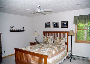 Cedarwoods - 10