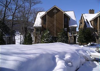 Winter Wonderland