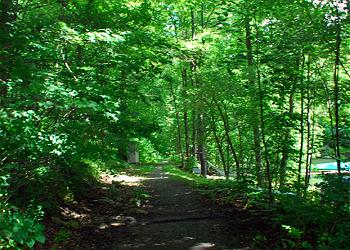 Walking Trail