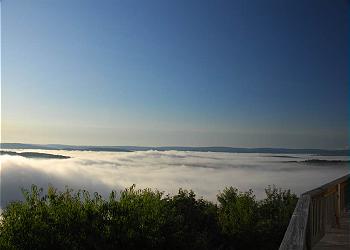 Morning Fog