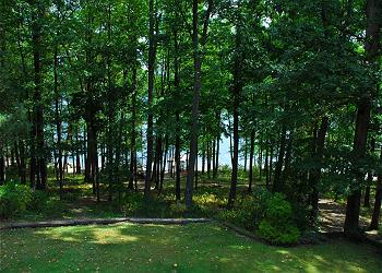 View from porch