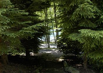 Trail to lake