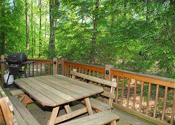 Cedar Woods Picnic