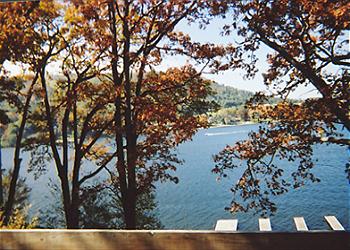 Fall Balcony View