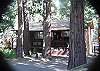 Impeccable home- ceiling fans, skylight, kitchen, air hockey, flat access