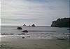 Look for Whales, Sea Lions and many sea birds.