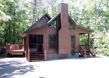 Blue Ridge Cabin / Bungalow rental - Exterior Photo