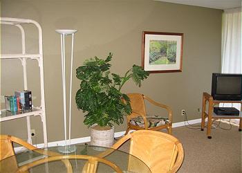  Condominium rental - Interior Photo - Living Room/TV Area