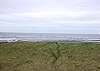 Unit 721 Oceanfront View
