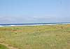 Unit 222 Oceanfront View