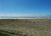 Unit 724 Oceanfront View - Vacations By The Sea, Westport, Washington