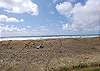 Unit 821 Oceanfront View - Vacations By The Sea, Westport, Washington