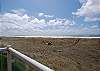 Unit 823 Oceanfront View - Vacations By The Sea, Westport, Washington