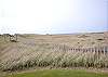Unit 814 Oceanfront View - Vacations By The Sea, Westport, Washington