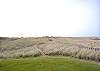 Unit 814 Oceanfront View - Vacations By The Sea, Westport, Washington