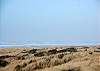 Unit 938 View - Vacations By The Sea, Westport, Washington