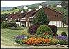 ALPINE MEADOWS #44