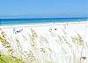 Central Gulf Coast Condominium rental - Interior Photo - A view of our beautiful beautiful with powdery snow white sand