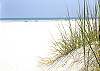 Island South 31, Ocean View, Pool, BBQs, Private Beach Access