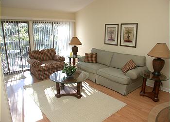 Hilton Head Island Villa rental - Interior Photo - Living Room