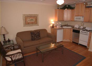 Hilton Head Island Villa rental - Interior Photo - Living room/kitchen