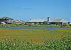 From Across the Salt Pond Towards House