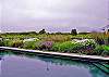 Pool and Gardens