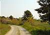 Dirt Road to House