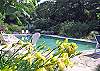 Pool Surrounded by Lush Gardens