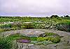 Beautiful Landscape
