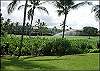Keauhou Kona Surf & Racquet 7103   Convenient condo with tranquil setting