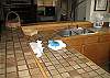 -Standard