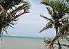 WSC Ocean Front 1 BR