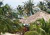WSC Garden 2 BR