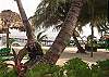 WSC Ocean Front 1 BR