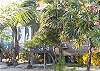 WSC Treehouse 1 BR
