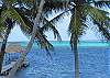 WSC Ocean Front 2 BR