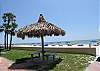 Tiki Hut