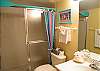 Guest Bath with tile shower