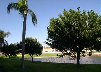 Central Gulf Coast Condominium rental - Exterior Photo