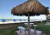 Tiki Hut