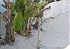 Outdoor Shower