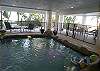 Pool & Patio Area