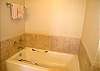Master Bath Tub