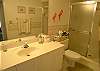 Guest Bath with Tile Shower