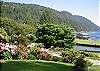 At the edge of the grassy front yard a wall of flowering rhododendrons greets spring visitors to this home.