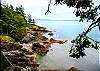 At low tide you can scramble across the rocks to explore tide pools full of Salish Sea marine life.