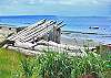 Build a fantasy home of beach logs.